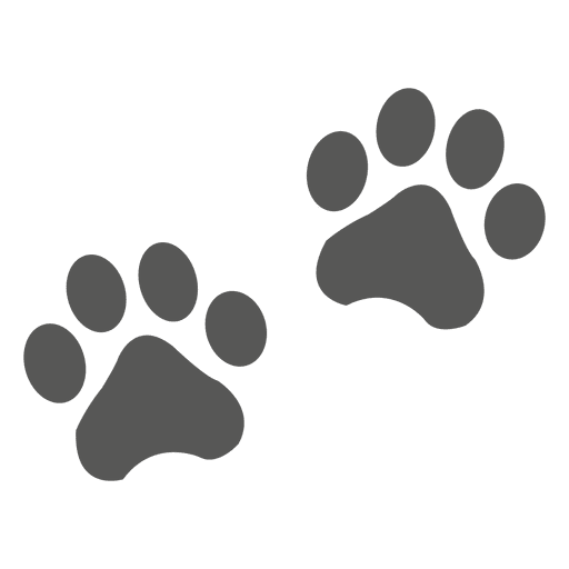Cat Footprint Icon
