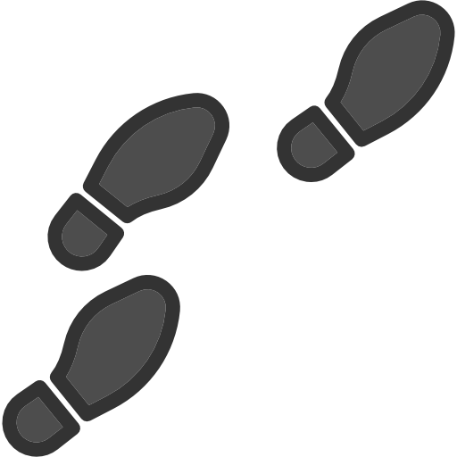 Footprints Icon