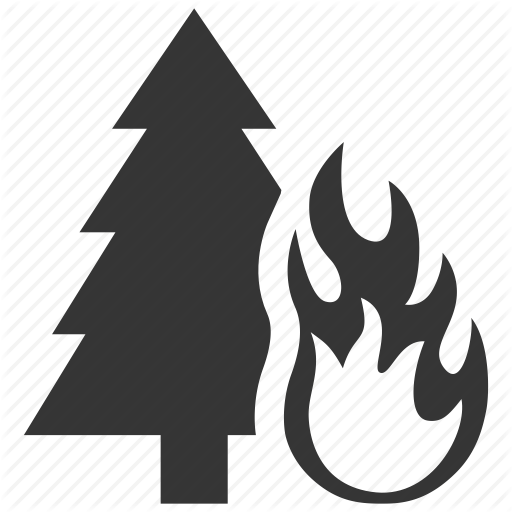 Burn, Danger, Disaster, Fire, Flame, Forest, Hazard, Natural, Risk