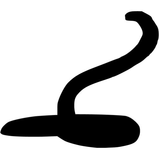 Black Snake Icon