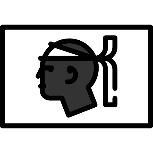 Corsica, Flag, France Icon