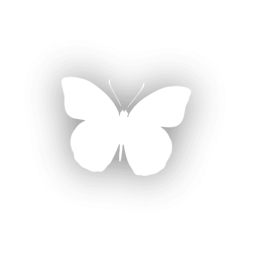 Butterfly Icon