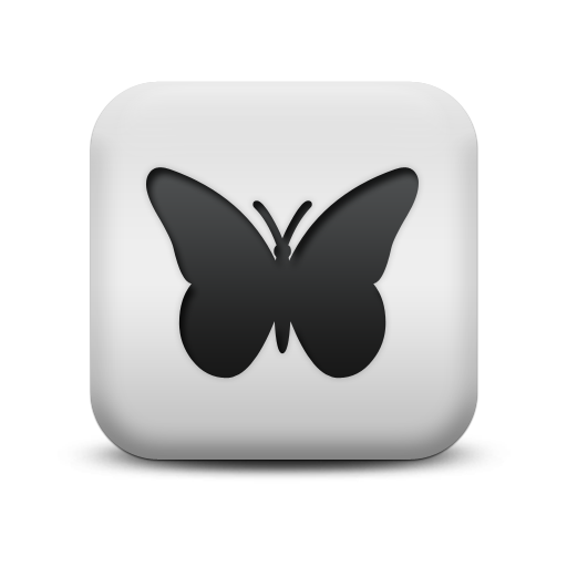 Icon Image Butterfly Free