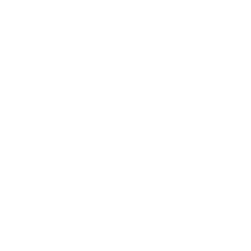 White Butterfly Icon