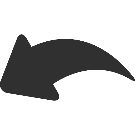 Undo Icon