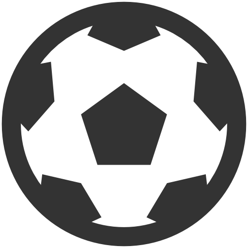 Sport Activities Football Icon