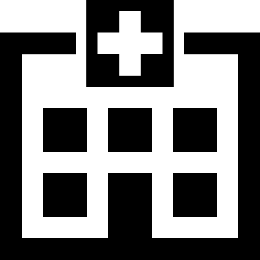 Healthcare Hospital Icon