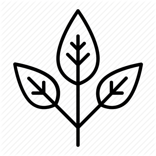 Cosmetics, Free, Leaf, Paraben, Plant Icon