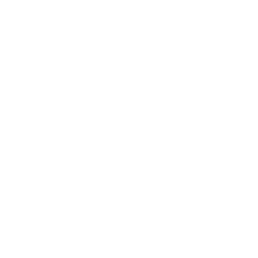 White Padlock Icon
