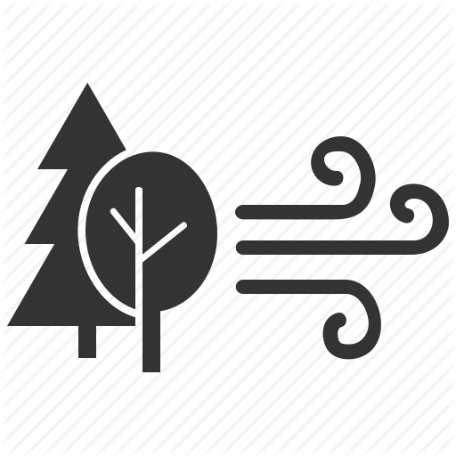 Forest, Fresh Air, Health, Nature, Outdoor Air, Salubrious, Trees Icon