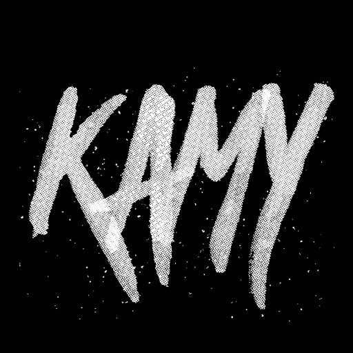 Kamy