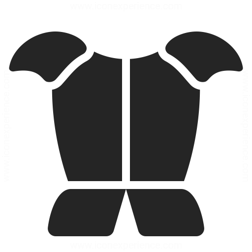 Armour Icon Iconexperience