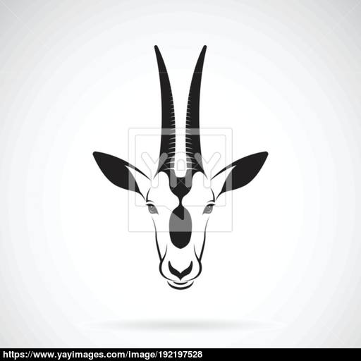 Vector Of A Scimitar Horned Oryx Head Design On White Background