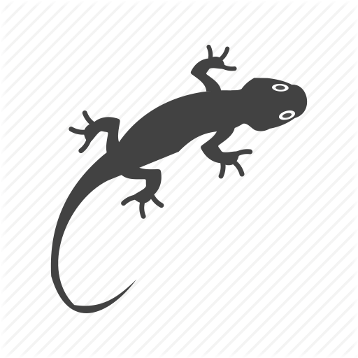 Animal, Color, Lizard, Orange, Pet, Reptile, Tail Icon
