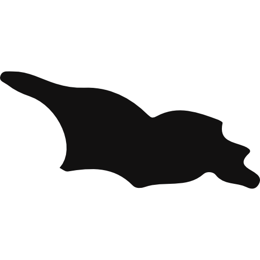 Georgia Black Country Map Shape Icons Free Download