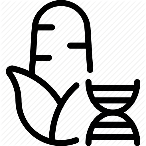 Corn, Dna, Eco, Ecology, Environment, Food, Free, Gmo Icon
