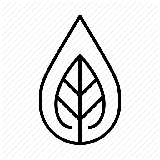 Climate Change, Environment, Go Green, Leaf, Leaves, Nature, Water