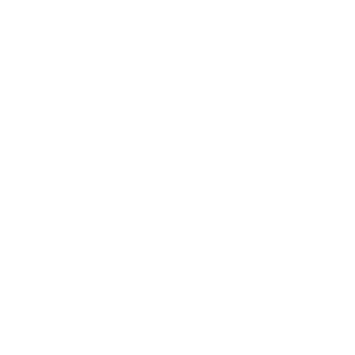 White Star Icon