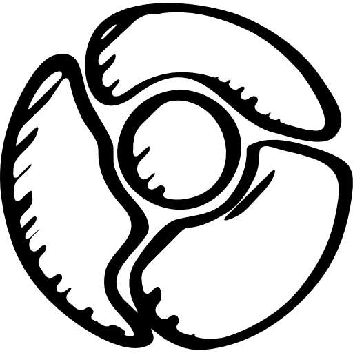 Google Chrome Icon