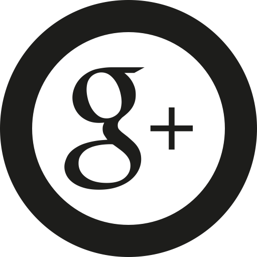 Google, Plus Icon