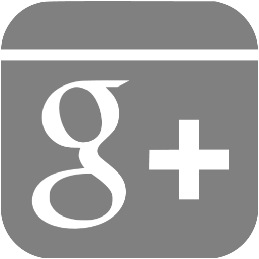 Gray Google Plus Icon