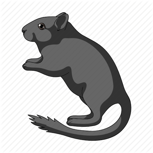 Animal, Gopher, Mammal, Rodent, Wild, Zoo Icon