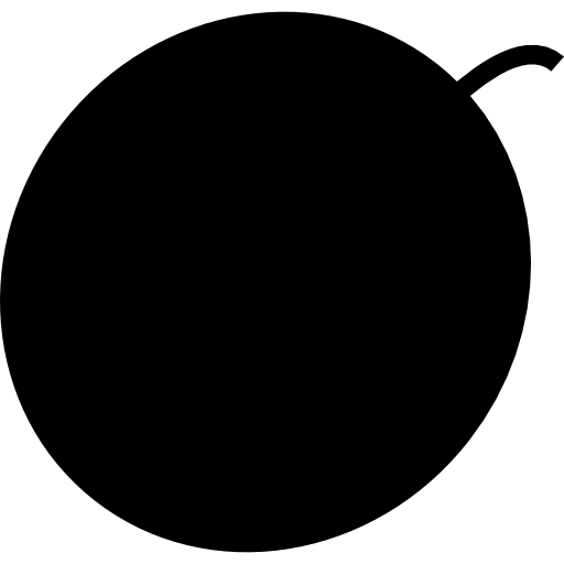 Grapefruit Icon