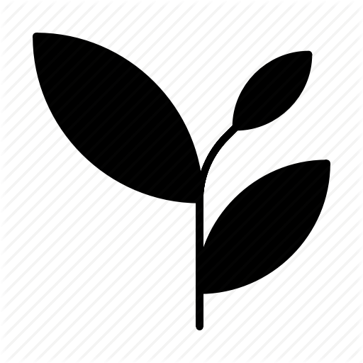 Bough, Ecology, Green, Leaf, Leaves, Nature, Plant Icon