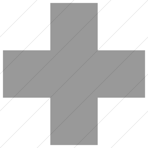 Simple Light Gray Raphael Plus Sign Icon