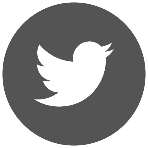 Twiiter Icon Grey