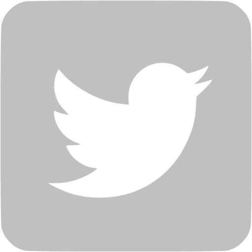 Silver Twitter Icon