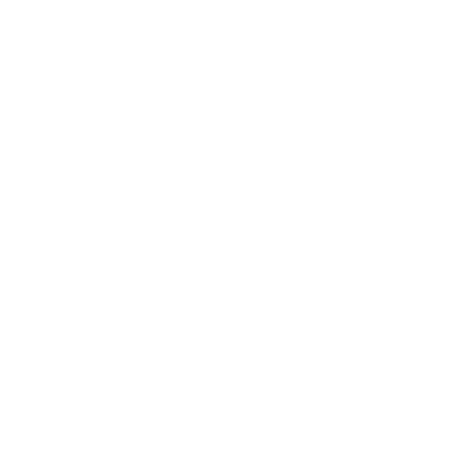 White Hair Brush Icon