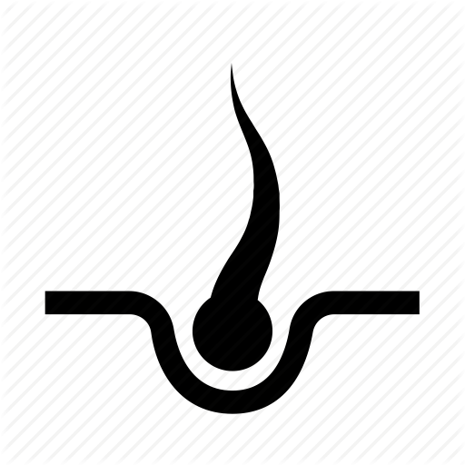 Fur, Grow, Hair Icon