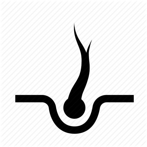 Damaged, End, Fur, Hair, Split Icon