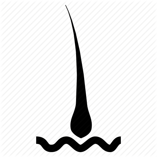 Hair, Hair Fall, Hair Transplant, Head Icon