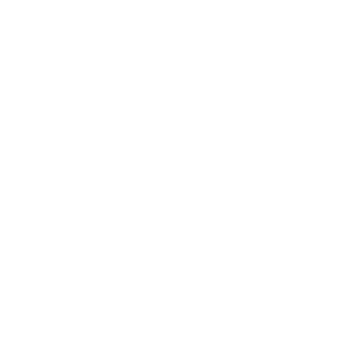 White Circle Icon