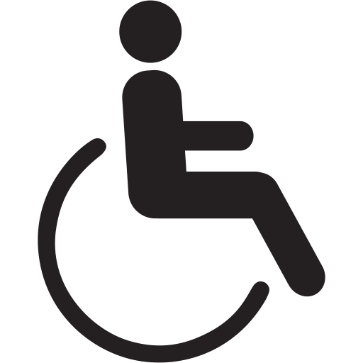 Accessible, Disable, Disability, Disabled, Person, Handicap