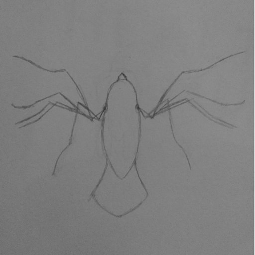 Ravenclaw Gif Icon Harry Potter Amino