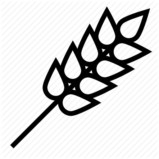 Corn, Farm, Harvest, Wheat Icon