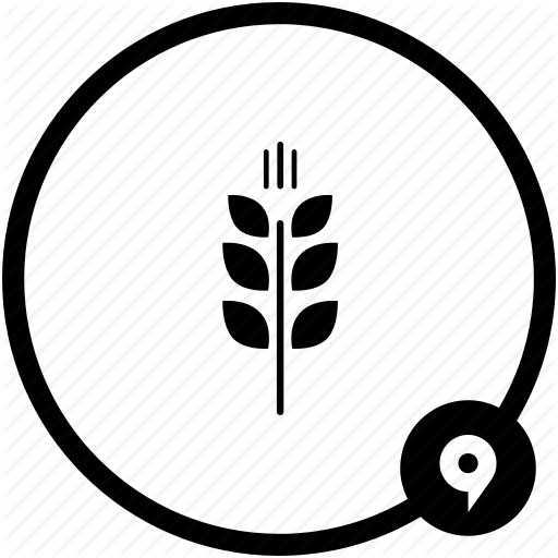 Corn, Harvest, Russia, Wheat Icon