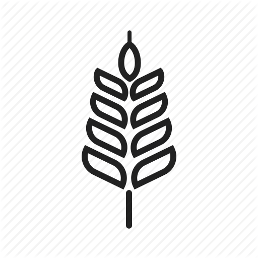 Food, Harvest, Healthy, Natural, Plant, Summer, Wheat Icon