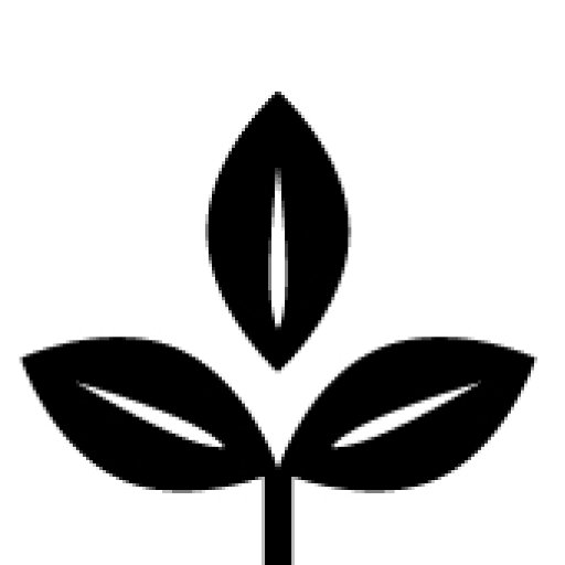 Hawaiian Licorice Co