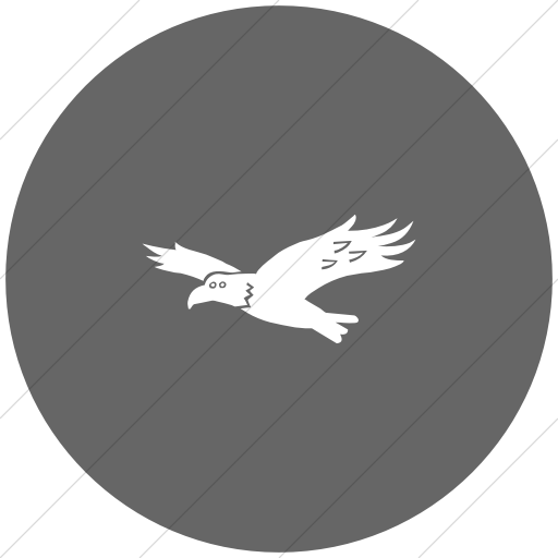 Flat Circle White On Gray Animals Hawk Icon