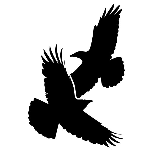 Site Icon Two Crow Press Two Crow Press