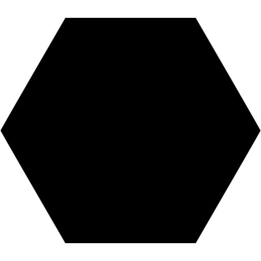 Black Hexagon Icon
