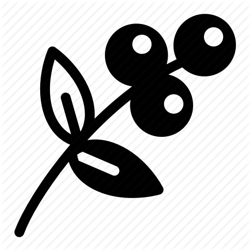 Herb, Herbal Tea, Plant, Rose Hip, Rosehip, Tea Icon