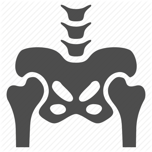 Feldenkrais Awareness Through Movement Workshop