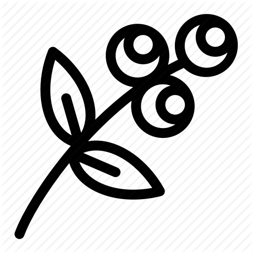 Flower, Herb, Rose Hip, Rosehip, Tea Icon