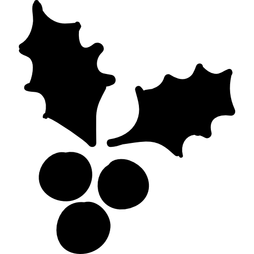 Holly Leaves With Berries Icons Free Download