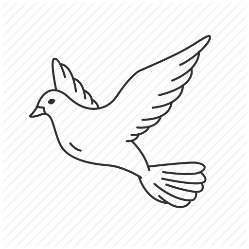 Bird, Clean, Dove, Grace, Holy Spirit, Peace Icon